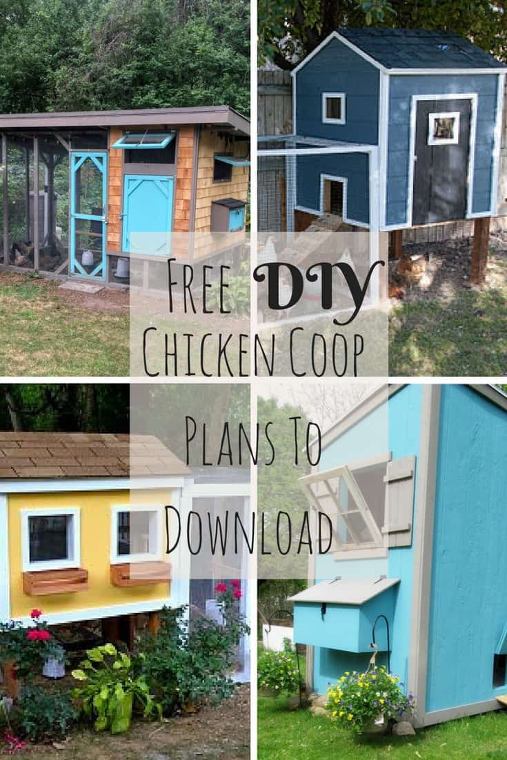 17 Amazing Free DIY Chicken Coop Plans To Download