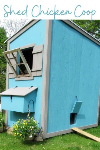 17 Amazing Free Chicken Coop Plans And Inspiration